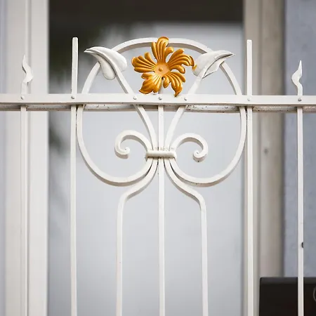 Tsaribrod Design Apartamento