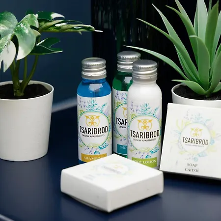 Tsaribrod Design Apartmán