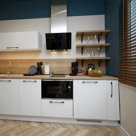 Tsaribrod Design شقة *