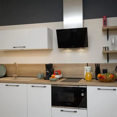 Tsaribrod Design Apartment *