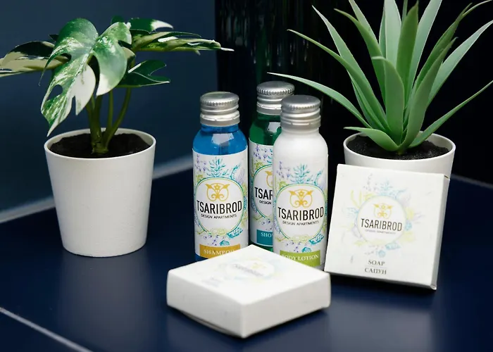 Tsaribrod Design アパート